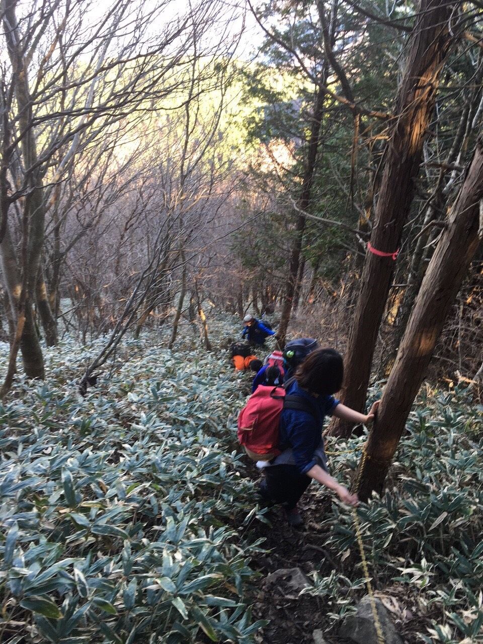 11月企画 石墨山 幹部お疲れ登山 愛媛大学ワンダーフォーゲル部記