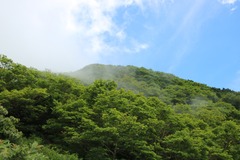 鳥取にぎやか観光登山〜大山・境港〜_190831_0138