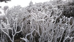 IMG_0922 (1)