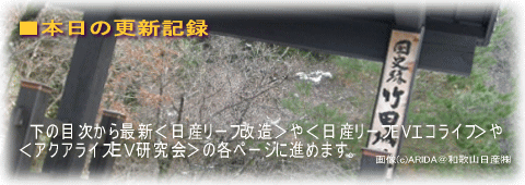 日産リーフで竹田城＠日産リーフEVエコライフ リーフＥＶライフ／アクアライズＥＶ研究会