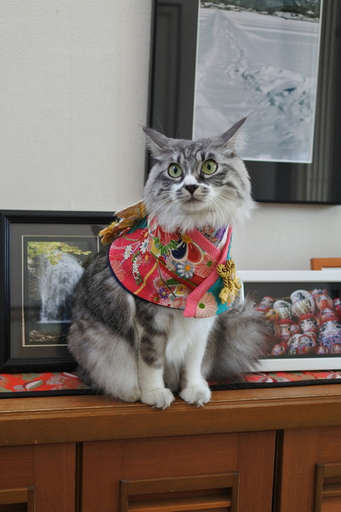 DSC_3196 (2)