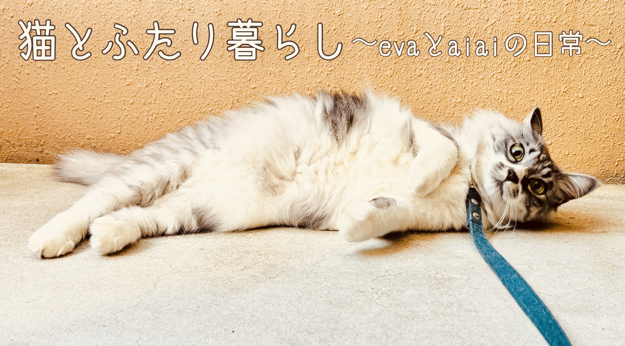 にゃんこ様 確認用 にゃんこのお部屋様確認用 にゃんこ様 確認用 にゃんこのお部屋様確認用