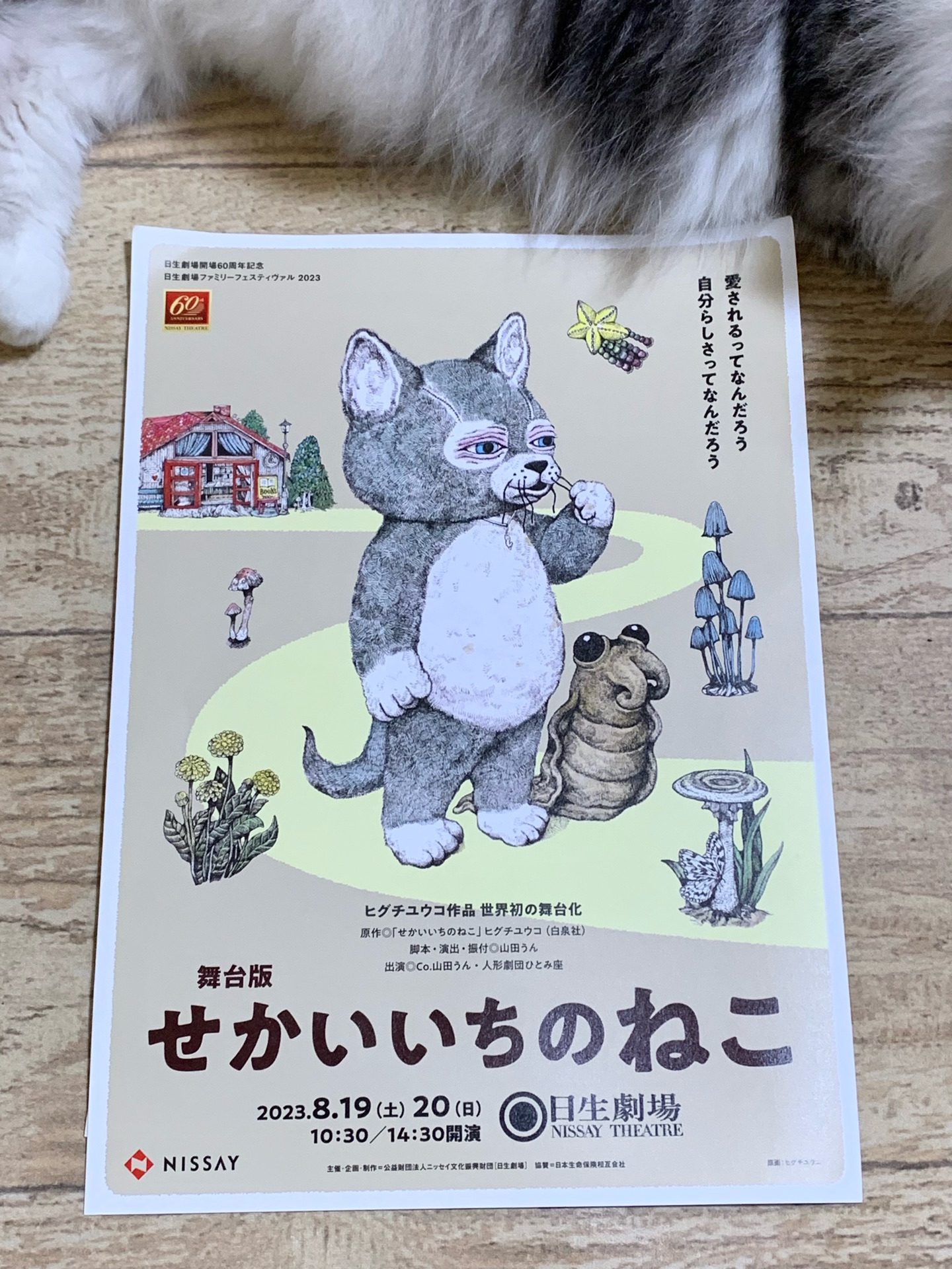 ヒグチユウコ 複製画 ネコちゃんスキ（大人 可愛い 服