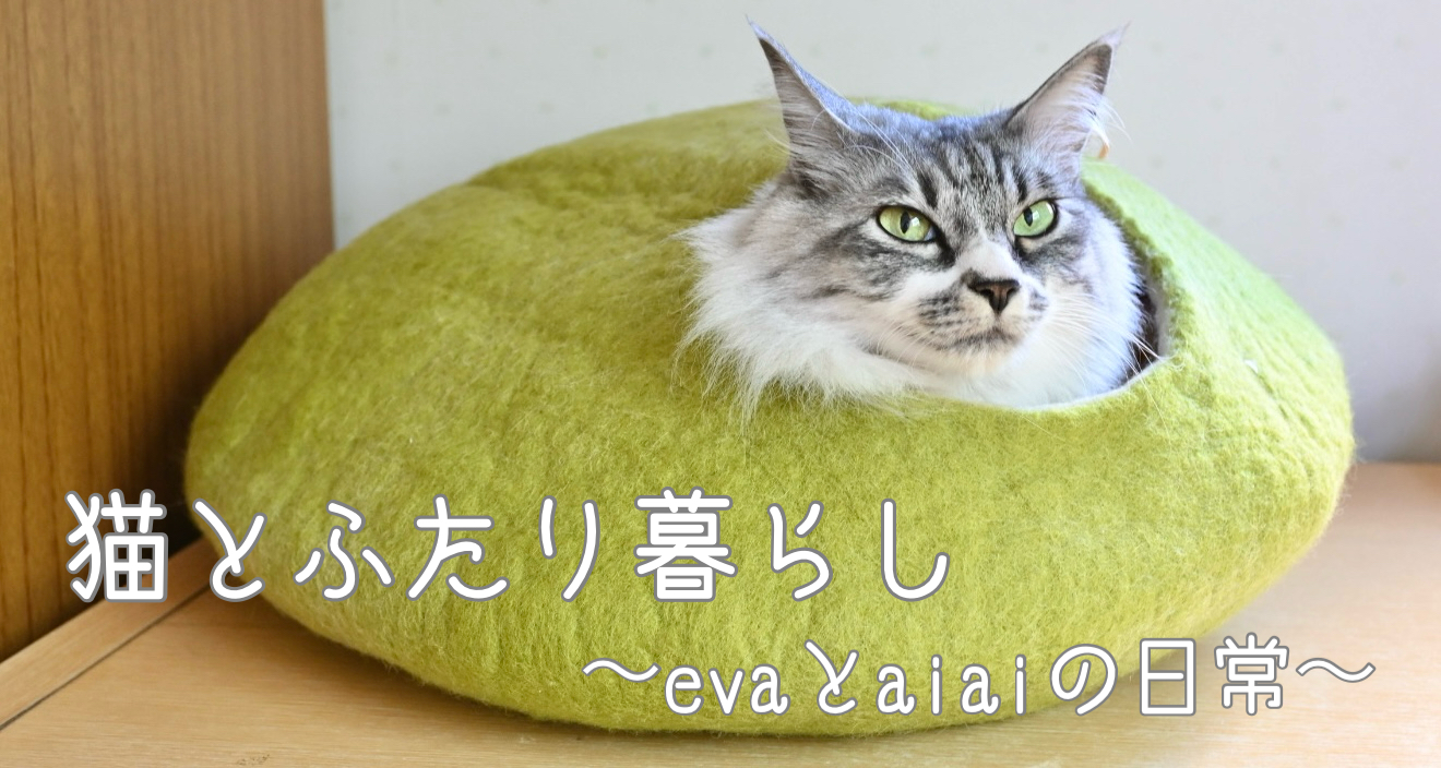 猫のきもち Amazon.co.jp: ねこのきもち 2024 9月号 付録 : ホーム＆キッチン