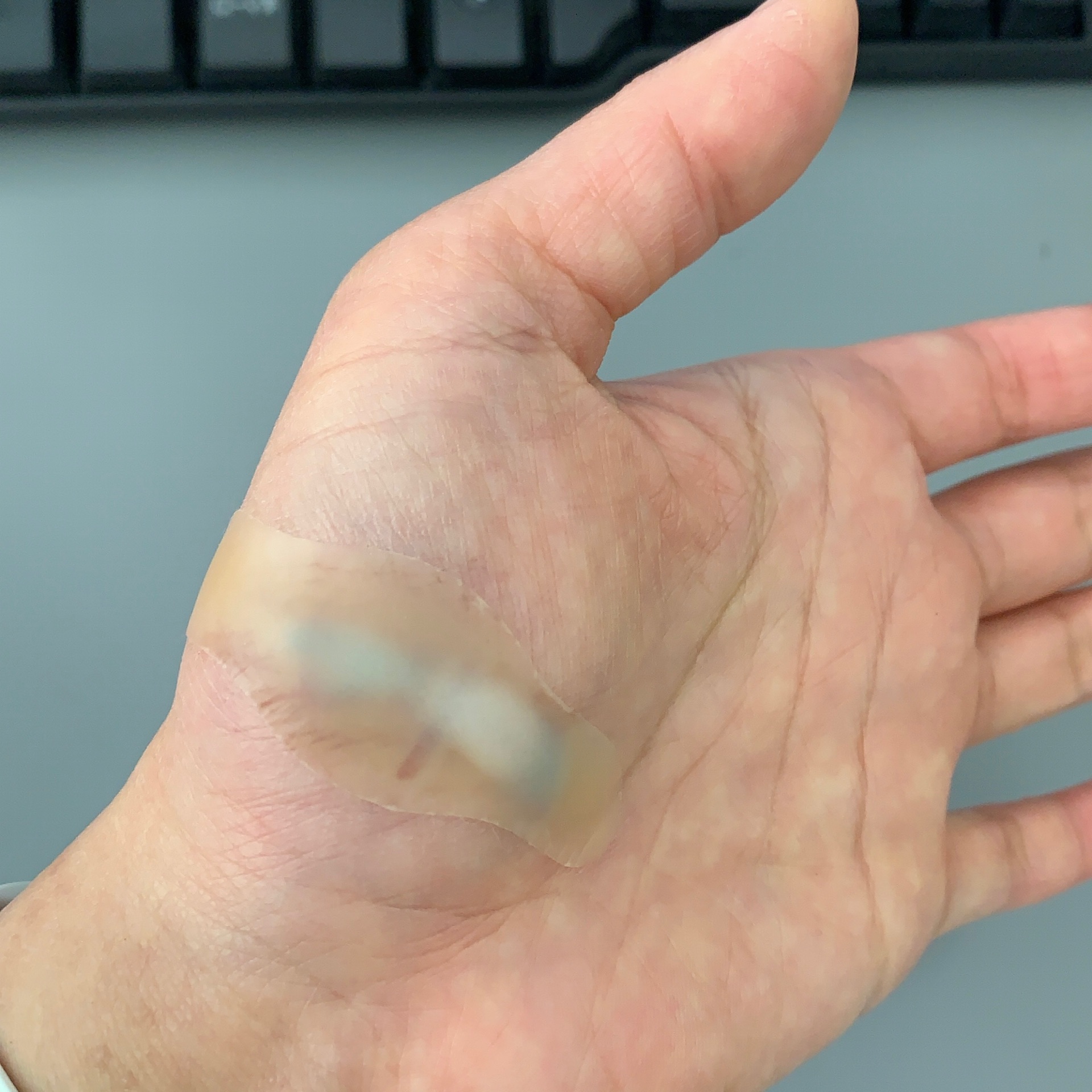 肉裂きeva 猫とふたり暮らし Evaとaiaiの日常