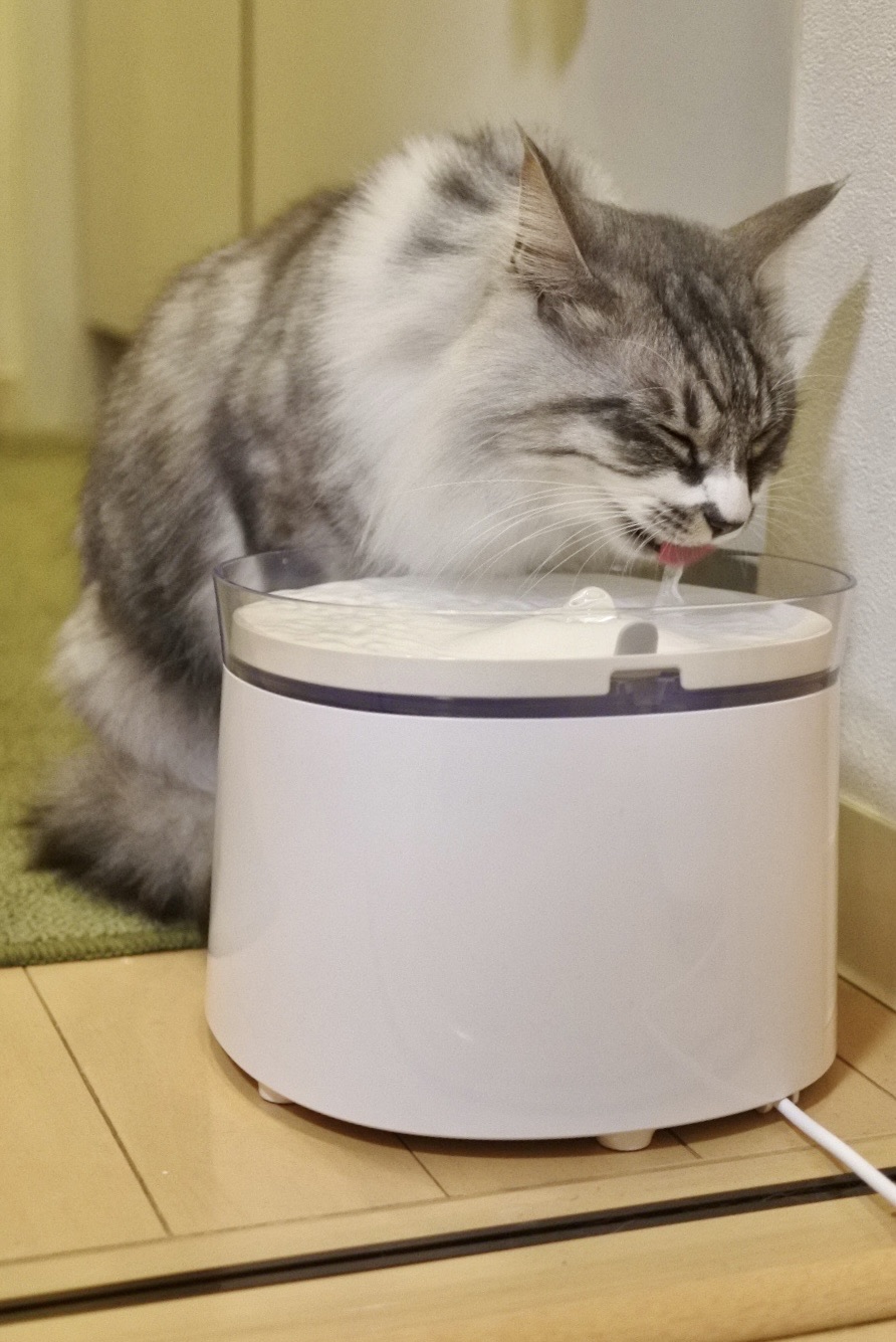 プラグを抜かれた自動給水器の猫の飲料のアーティファクト Amazon | 獣医師推奨 猫用 プラスアクア 自動給水器 水 水飲み器