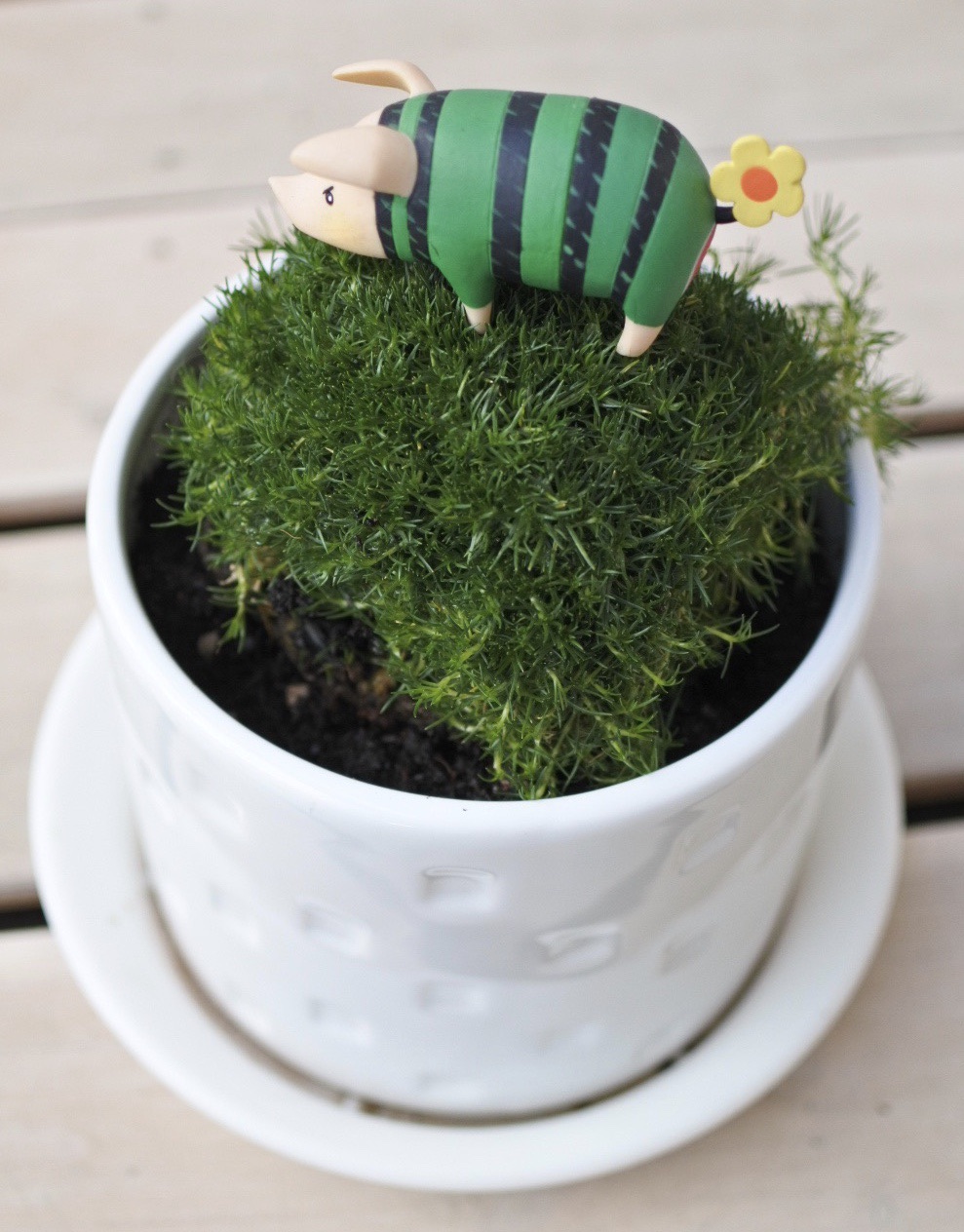もふもふ もふリッチ 猫とふたり暮らし Evaとaiaiの日常