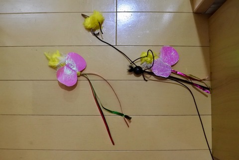 495A8DDC-46FC-4609-9C11-D41C7CDF88BE