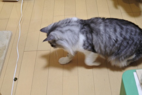 FullSizeRender