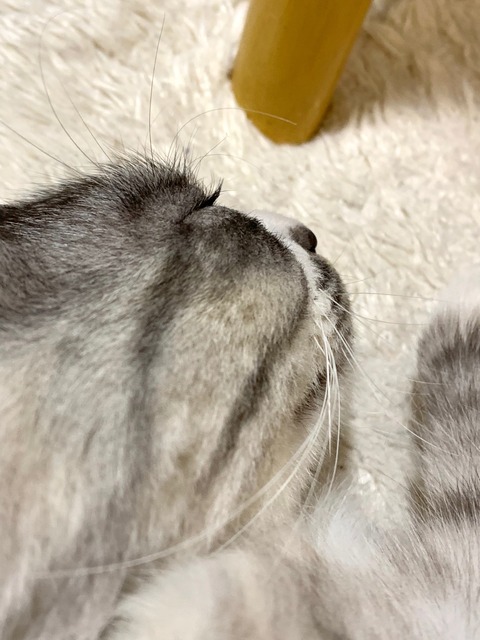 FullSizeRender