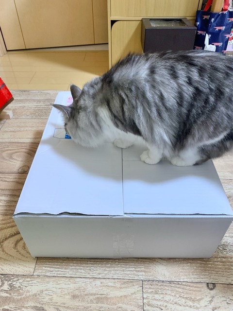 FullSizeRender