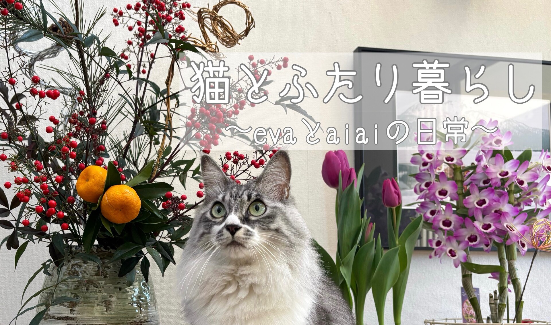 じゃれねこ『10月☆蝶々①』 じゃれ猫ブンブン（ミツバチ）』で遊ぼ♪ : 猫とふたり暮らし～evaと