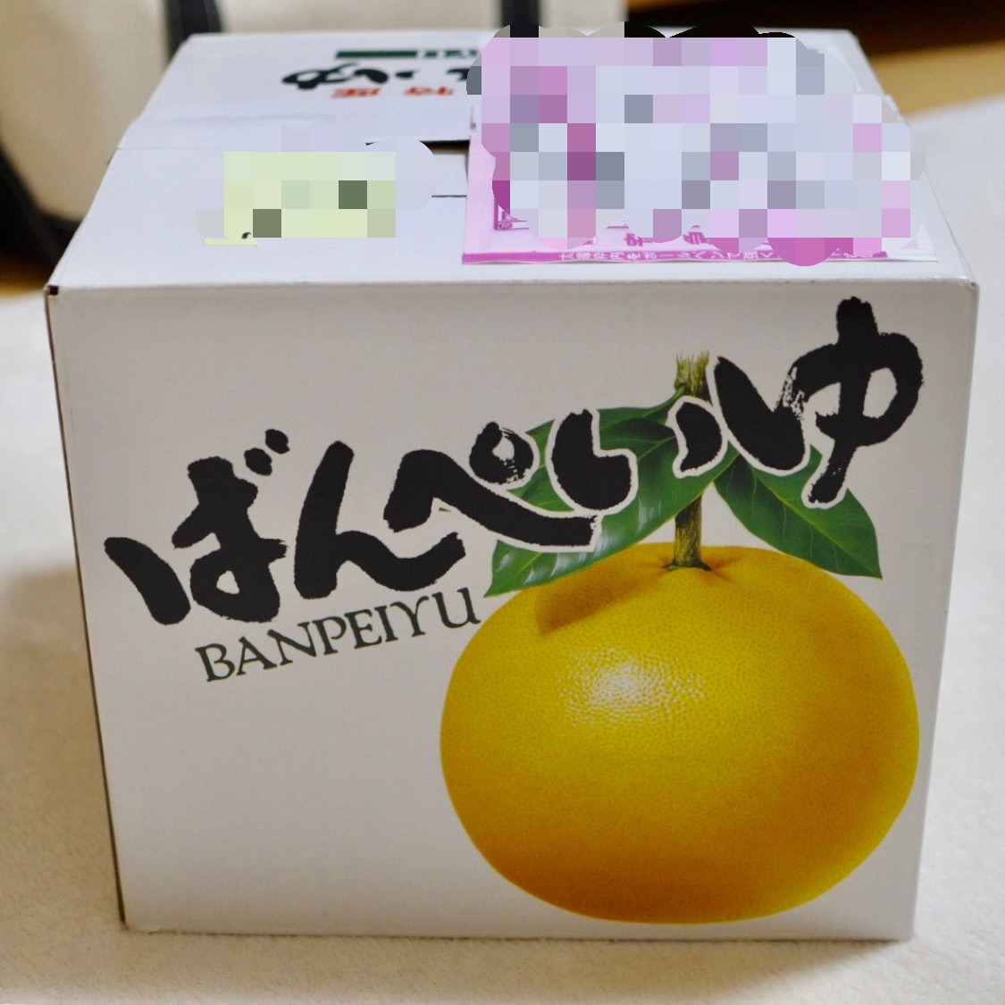 果実王 晩白柚 猫とふたり暮らし Evaとaiaiの日常