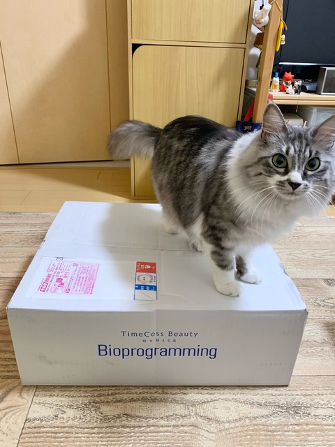 FullSizeRender