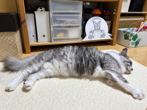 FullSizeRender