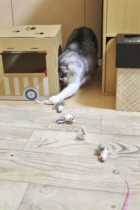FullSizeRender