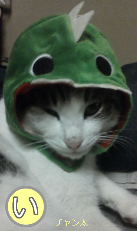 取り札い
