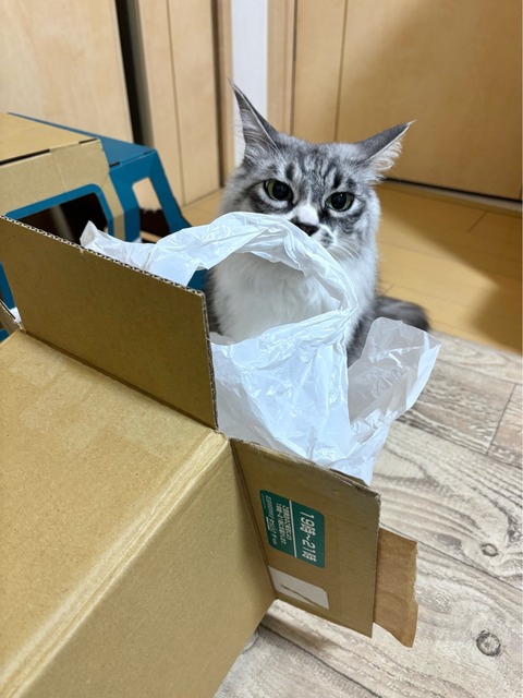 FullSizeRender