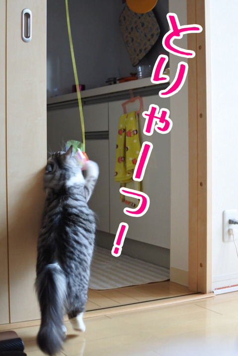 E0603836-BD39-4993-B735-36986D8A5242