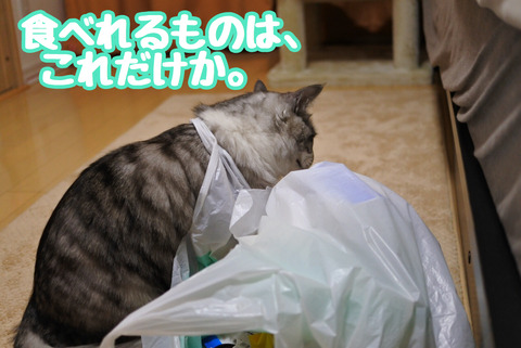 65AB9553-2EE4-4183-BF67-240D0B491AD0