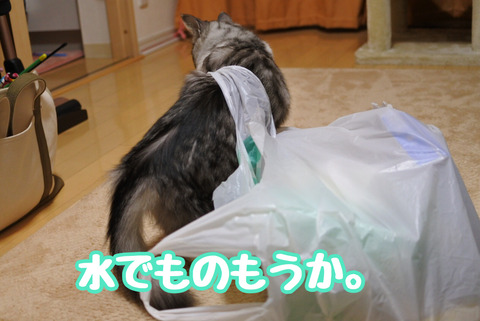 DA00D821-B62E-43DA-B98E-68C6632C1FCF