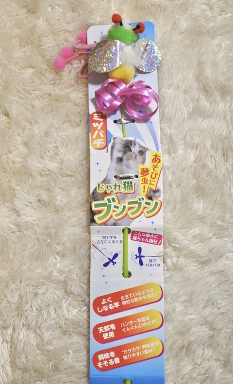 じゃれねこ『10月☆蝶々①』 d9b98893-s.jpg