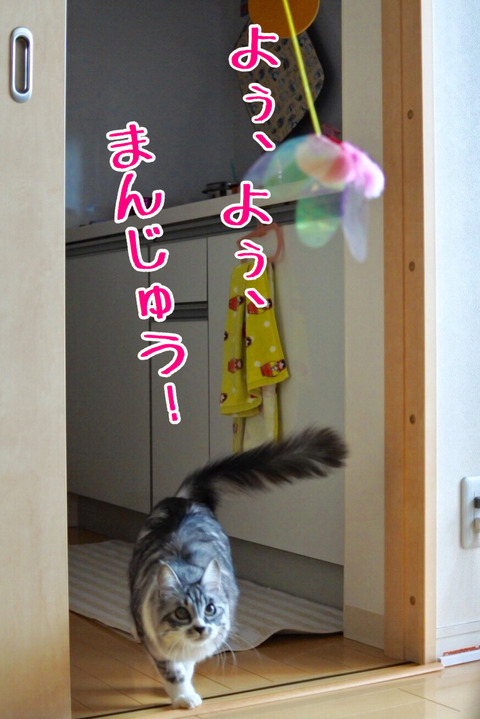 9E05BF3A-883A-4DC2-9C74-562687499D36