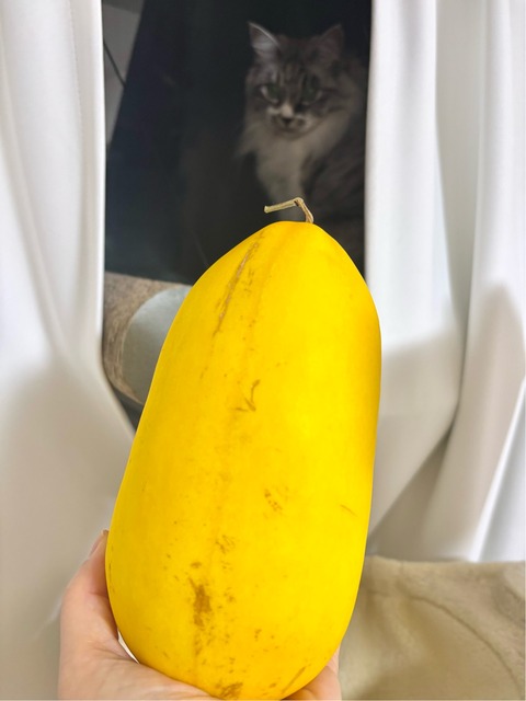 FullSizeRender