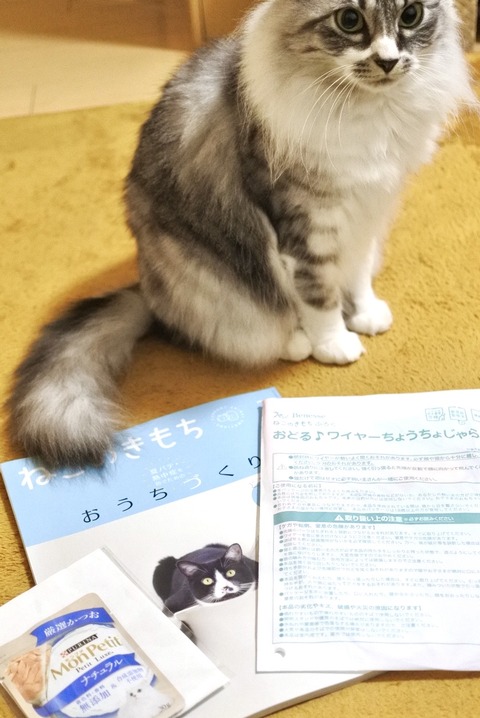 ねこのきもち』ファイナルイヤー？7月号ふろく・おどる