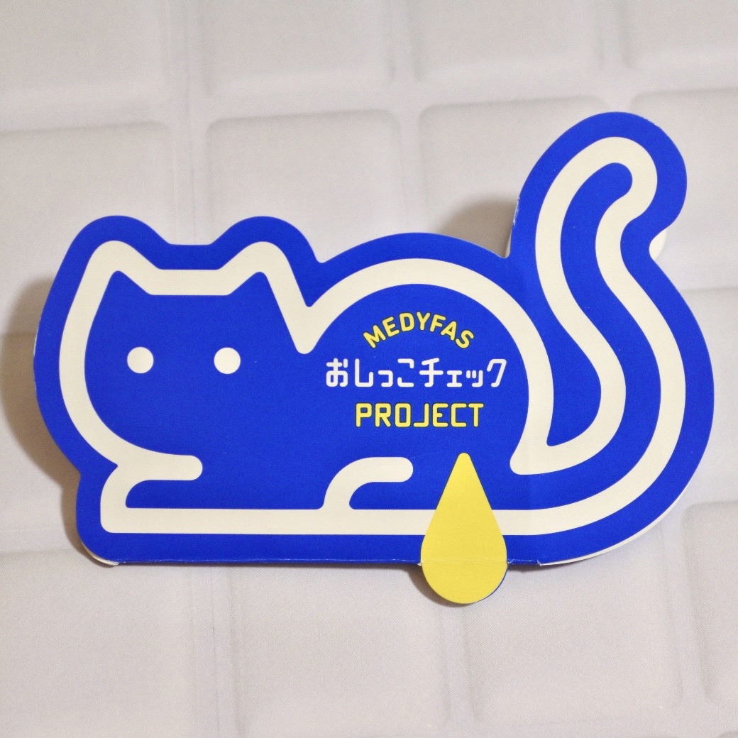 ストルバイトevaちゃん Vol 28とプロジェクトリニューアル 猫とふたり暮らし Evaとaiaiの日常