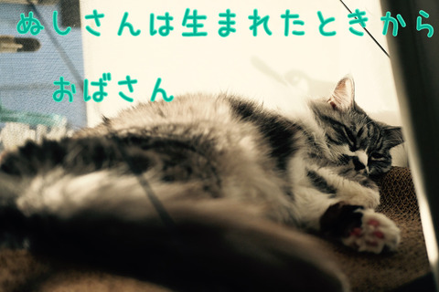 IMG_4725