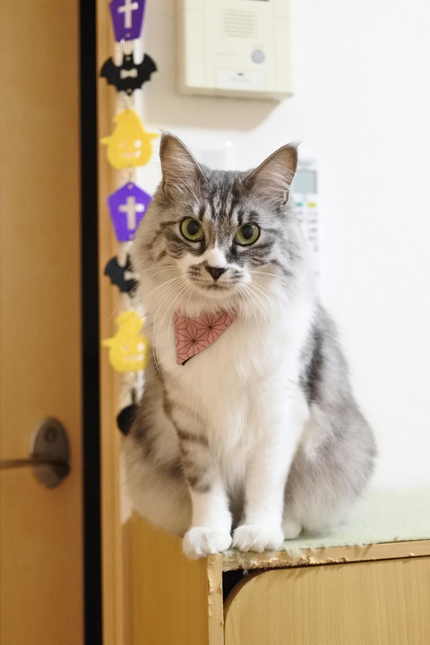 DSC_1941