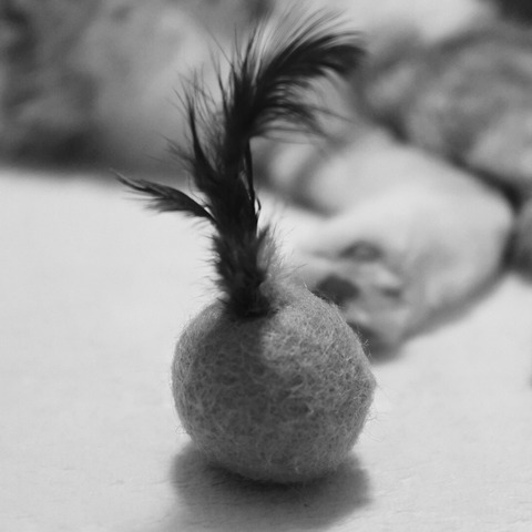 FullSizeRender