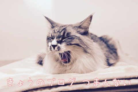 image0 (2)
