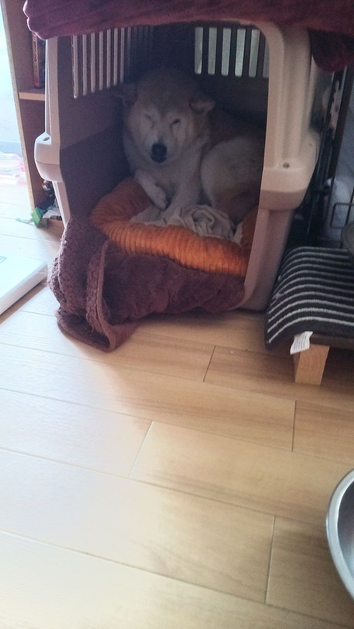 寒い1日 Eve And Her Friends イヴと友達 のblog 寒い1日 Eve And Her Friends イヴと友達 のblog