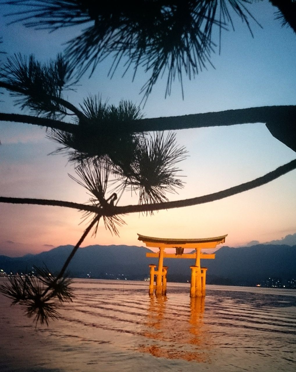 ずーっと居ても飽きない厳島神社の風景o O O Amane Blog