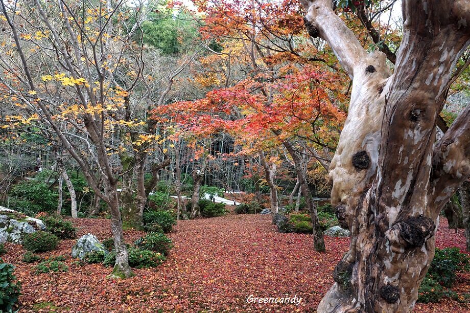圓光寺-17