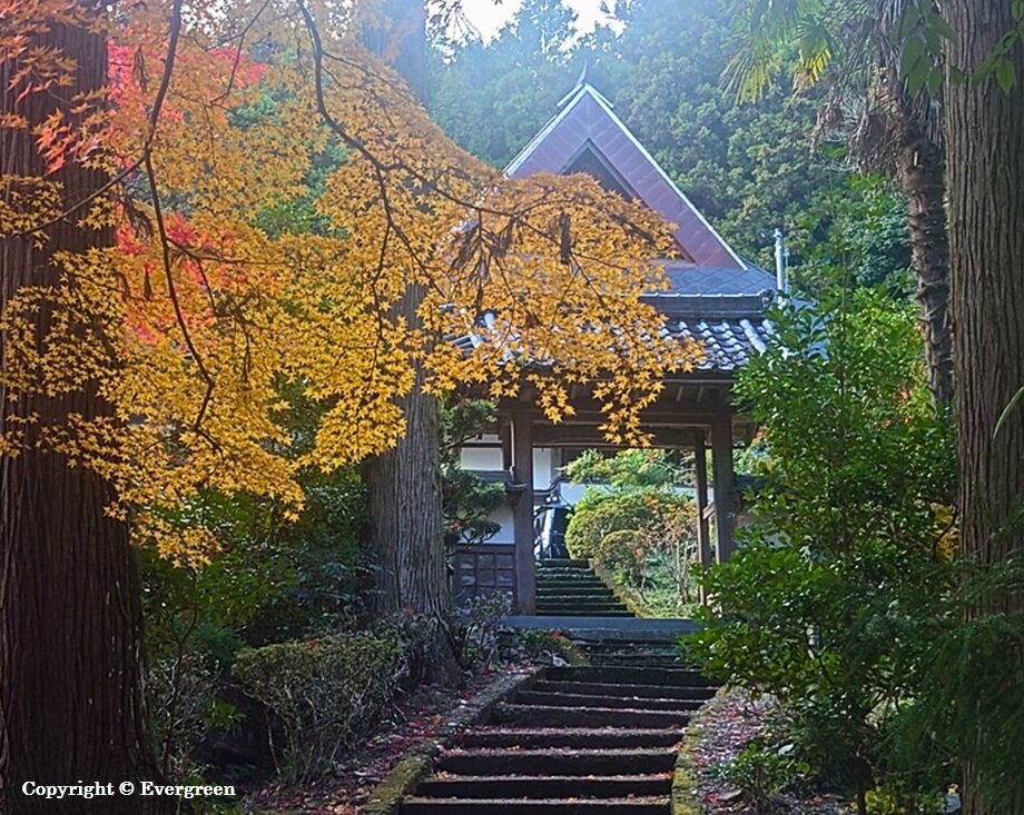龍穏寺の紅葉-05