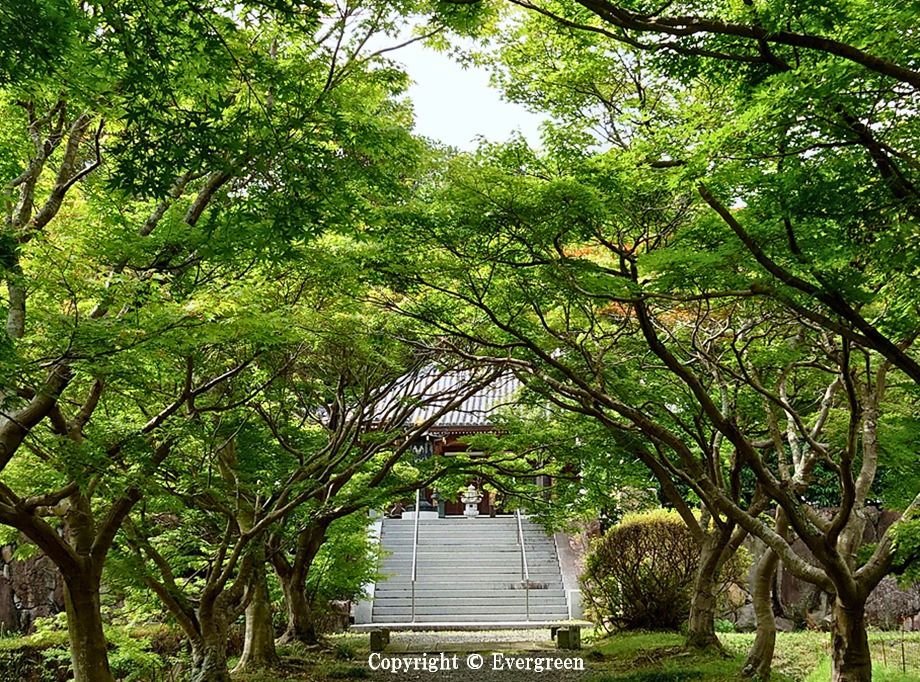 三木市金剛寺-21