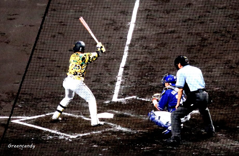 甲子園球場-28