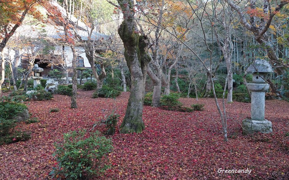 圓光寺-15
