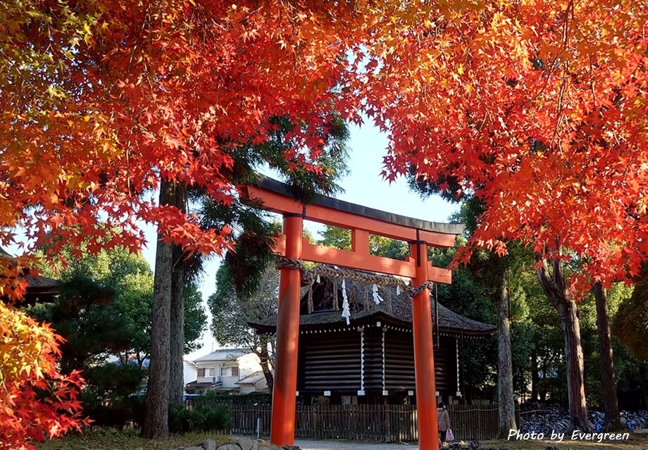 上賀茂神社の紅葉-01