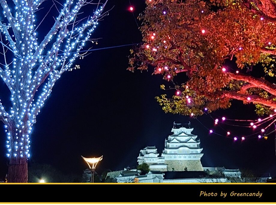 Himeji大手前通りイルミネーション-01