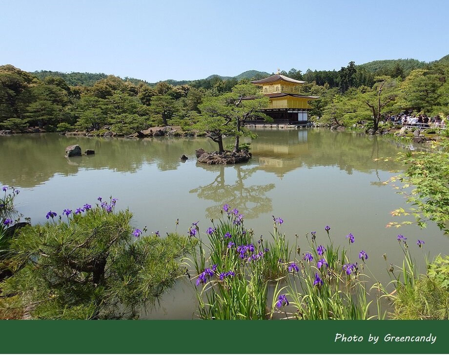 金閣寺-15