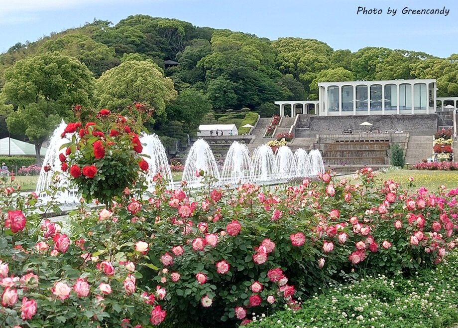 須磨離宮公園-07