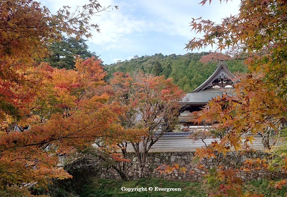 丹波円通寺-08