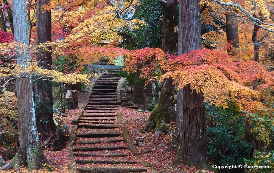 龍穏寺の紅葉-02