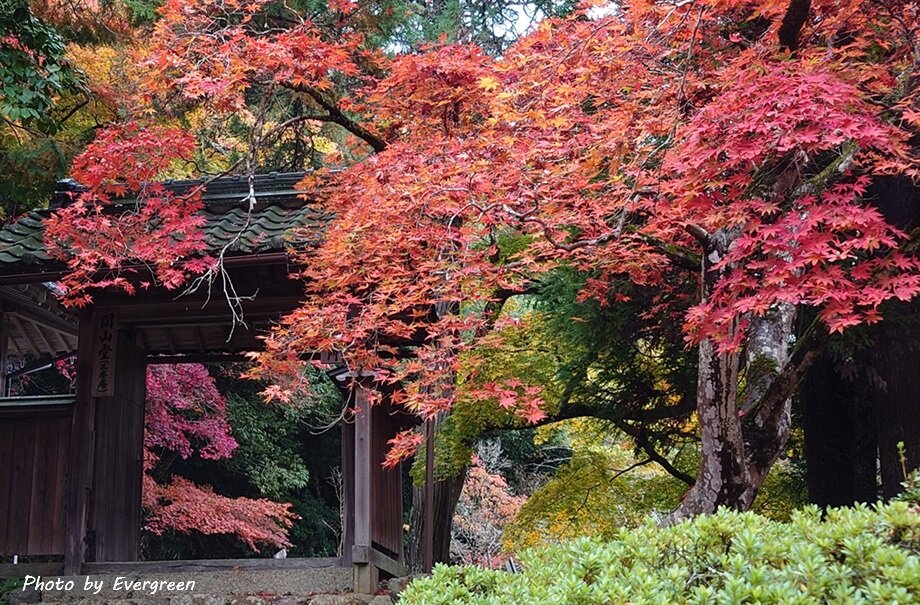 綾部安国寺の紅葉-03