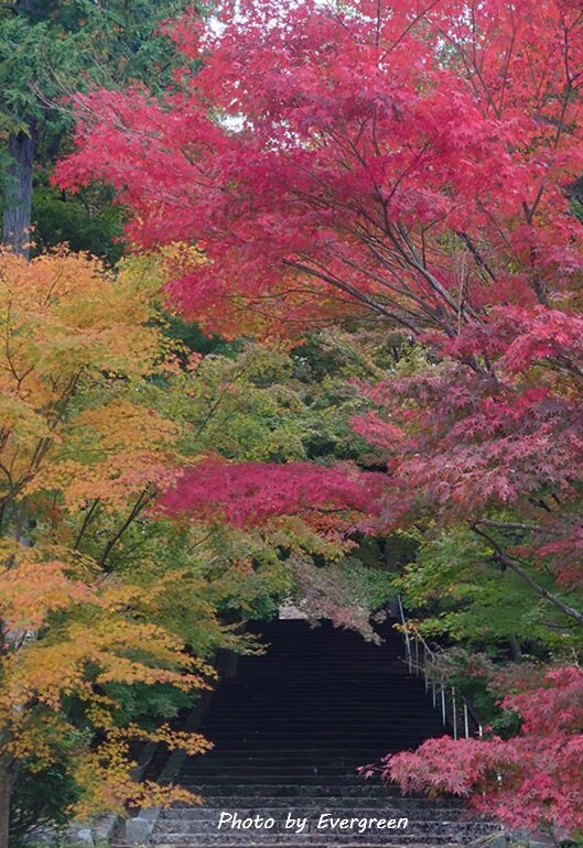 綾部安国寺の紅葉-06