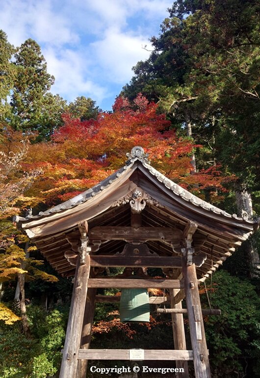 勝林院の紅葉-06
